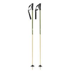 Bâtons De Ski Faction Candide Poles Green